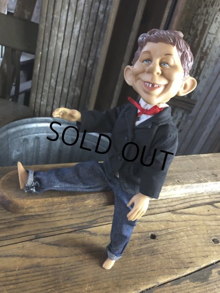 画像6: 90s Mad Magazine Alfred E. Neuman Figure Doll (A246) (6)