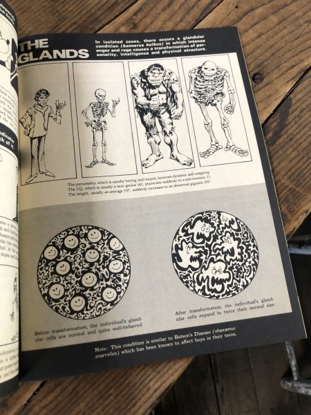 画像13: 1983 Vintage MAD Magazine No.236 Jan '83 (A257) (13)