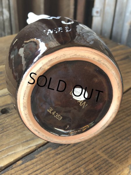 画像5: Vintage WILD CAT Juice Decanter Jug Bottle (A391) (5)