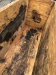 画像11: Vintage U.S MILITARY Wooden Crate No.4 (A432)   (11)