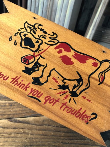 画像2: Vintage Funny Wooden Plaque ...got troubles? (A449)   (2)