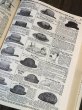 画像19: Vintage 1897 Sears Roebuck Catalog (A665) (19)