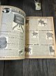 画像9: Vintage 1908 Sears Roebuck Catalog N0. 117 (A666) (9)