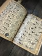 画像13: Vintage 1908 Sears Roebuck Catalog N0. 117 (A666) (13)