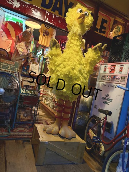 画像5: Vintage Advertising Sesame Street Big Bird Store Display Life size Statue RARE! Hard to Find! (A768) (5)