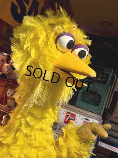 画像6: Vintage Advertising Sesame Street Big Bird Store Display Life size Statue RARE! Hard to Find! (A768) (6)