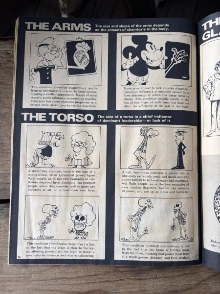 画像6: 80s Vintage MAD Magazine No.236 Jan. 1983 (A814) (6)